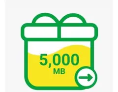 5,000 MB データ容量