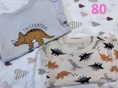☆petit main 恐竜 長袖T 2着セット☆80