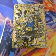 アイシャセー神 シークレット シク