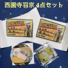 Dr.STONE 西園寺羽京 缶バッジ&アクリルキーホルダー 計5個セット