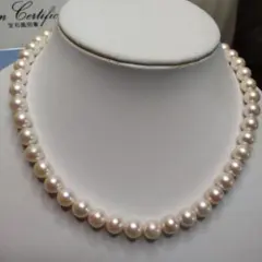 Item thumbnail for item d9e7b8a3-0390-455b-972d-5fb80e047666