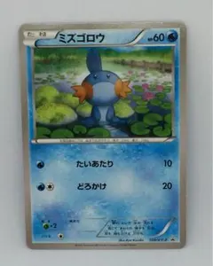 2026年最新】ポケモンカード ミズゴロウ 109/xy-pの人気アイテム