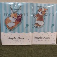 mofusand アクリルチャーム 2種セットのサムネイル