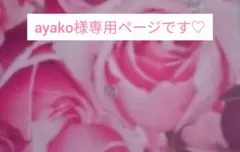 ayako様専用ページです♡