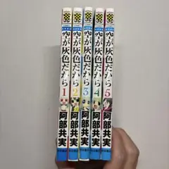 空が灰色だなら 全5巻セット
