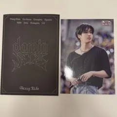 Stray Kids ヒョンジン インスタントフォトセット トレカ チェキ ポラ