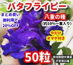 大西 信彦様 リクエスト 3点 まとめ商品