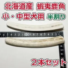 2026年最新】エゾシカのツノの人気アイテム - メルカリ