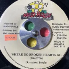 3743 レゲエ レコード 7インチ HEAD TO TOE riddim