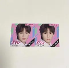 ぷっちょ シール &TEAM ハルア HARUA