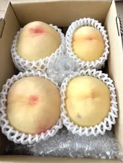 岡山県産 一宮ブランド 清水白桃 桃 家庭用 約1.6kg - メルカリ