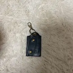 イルビゾンテキーケース