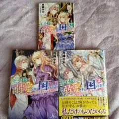 王子様に溺愛されて困ってます 転生ヒロイン、乙女ゲーム奮闘記