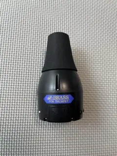 Item thumbnail for item b1fd99dc-3adc-4924-9ac9-2f290a1e196c