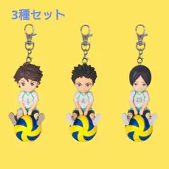 ハイキュー!! プチッとのりマスVol.3　及川 徹　岩泉 一　国見 英　3種