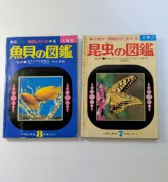 2025年最新】付録 昭和 小学の人気アイテム - メルカリ