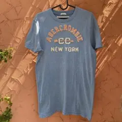 ゲリラ旗艦店全盛期アバクロ新品ABERCROMBIE & FITCH Tシャツ