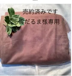 レース