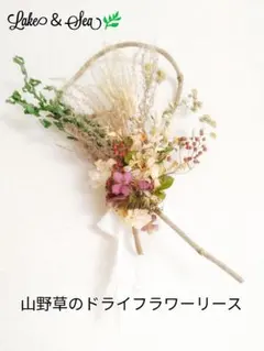 Item thumbnail for item 95ec90f5-b06a-441e-9da7-0cdad59e2c8d