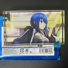 Fate FGO フェス アクリルブロック 逆襲のドバイ スターシエル シエル
