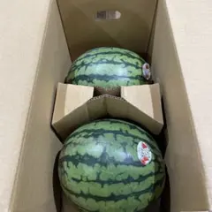 883千葉県産まるあさ大玉スイカ訳あり良品5Lサイズ1箱2玉入り - メルカリ