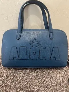 ラナイトランジット ハワイ ブリーフケース 新品 2025年最新】トランジットハワイの人気アイテム - メルカリ