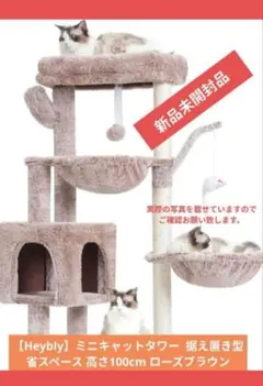 Item thumbnail for item 83978037-b2b6-46d3-a527-fbb3217ee108