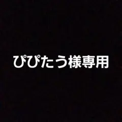 ぴぴたう様専用