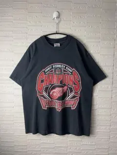 90sUSA製ヴィンテージ　デトロイトレッドウイングスTシャツ　シングルステッチ