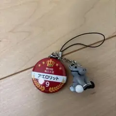 アエロリット 2018年 キーホルダー 9