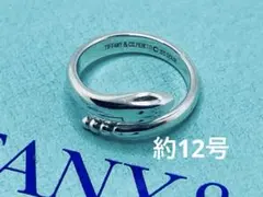 2025年最新】ティファニー スネークリングの人気アイテム - メルカリ