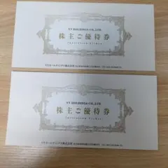 【キーパーLABO有】VTホールディングス株主ご優待券（～2025年12月）2冊