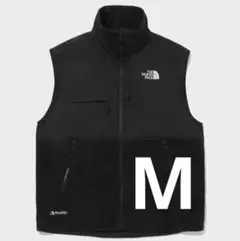 ノースフェイス THE NORTH FACE NV4FQ55A デナリベスト M