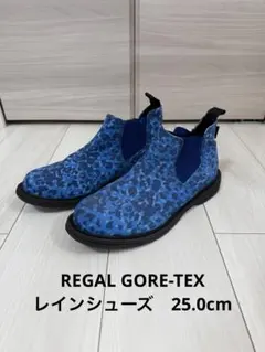 リーガル GORE-TEX レインシューズ 25.0cmのサムネイル