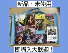 イマジニングザマジック ディズニー レジャーシート　ファンタジースプリングス
