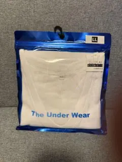 Item thumbnail for item 99f8dca6-3e16-42c3-bdb7-909ea582d45f