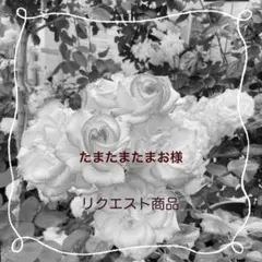 たまたまたまお様 リクエスト商品　３点まとめ