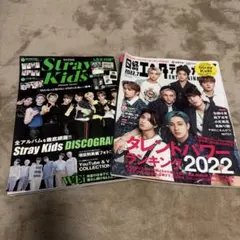 ⚠️廃棄予定⚠️Stray Kids 特集雑誌 2冊セット