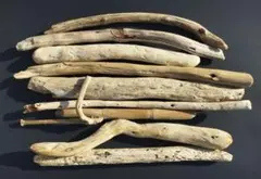 Item thumbnail for item cc6c0d0f-a9ea-4723-8af4-2ae01188a7ac