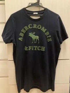 Abercrombie&Fitch アバクロ　Tシャツ　刺繍のサムネイル