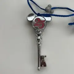 Disney 25周年記念 キーネックレス