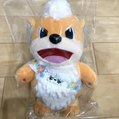 新品 ポケモン ローカル Acts おきなわ応援ポケモン ガーディ ぬいぐるみ