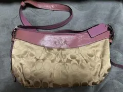 Item thumbnail for item 057596df-9c68-4fa2-8bc6-4d17903bd966