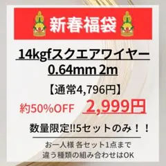 新春お年玉企画　14kgf スクエアワイヤー 0.64mm 2m