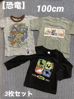 恐竜 Tシャツ ロンT 3点セット 100 男の子 F.O.KIDS