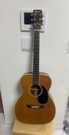 2025年最新】MORRIS ギター F-20の人気アイテム - メルカリ