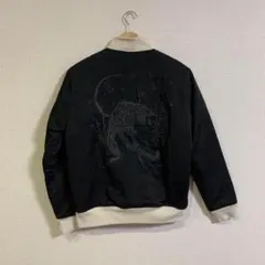 Item thumbnail for item 2422bb04-d0bc-45ea-b11c-37812aff6103