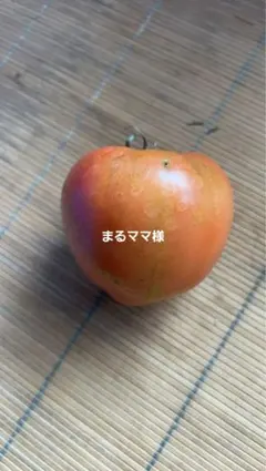 まるママ様専用