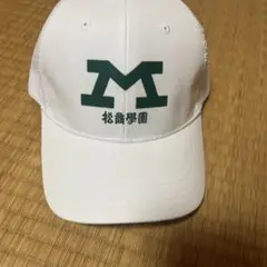2025甲子園出場長野県松商学園高等学校応援記念グッズ 2025甲子園出場長野県松商学園高等学校応援記念グッズ - メルカリ