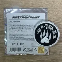 &TEAM パウプリ ワッペン フウマ